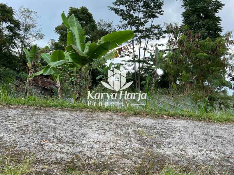 tanah istimewa dekat telaga madirda kemuning