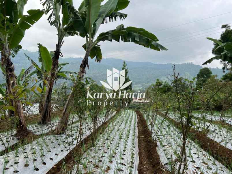 tanah istimewa dekat telaga madirda kemuning