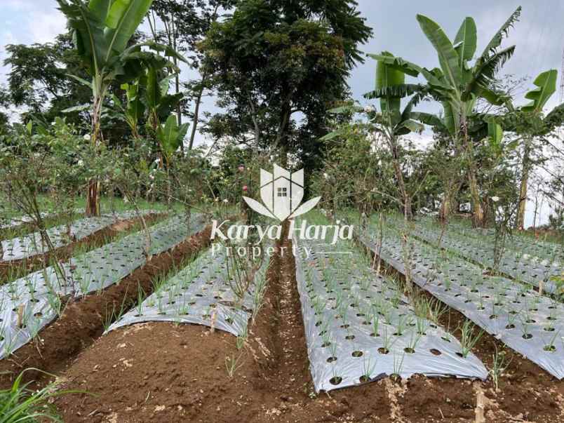 tanah istimewa dekat telaga madirda kemuning