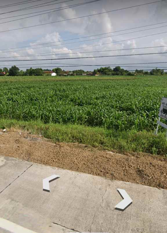 tanah jalan pantura sukarno hatta