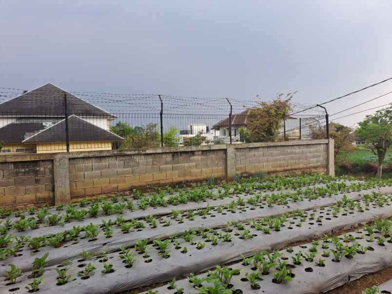 tanah kavling shm setiabudi bandung