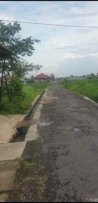 tanah kebun strategis view gunung