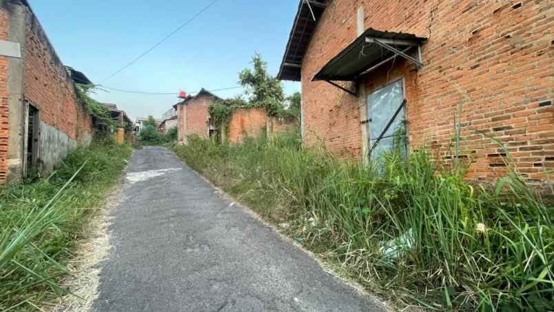 tanah kedamaian lampung murah