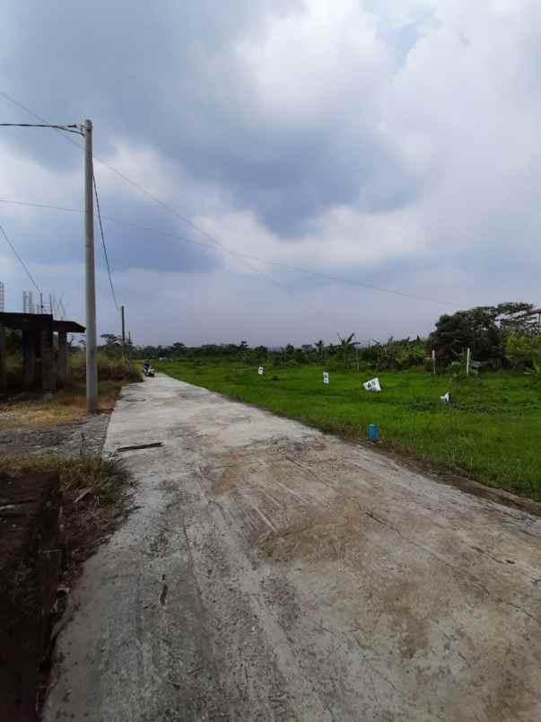 tanah kotabatu bogor