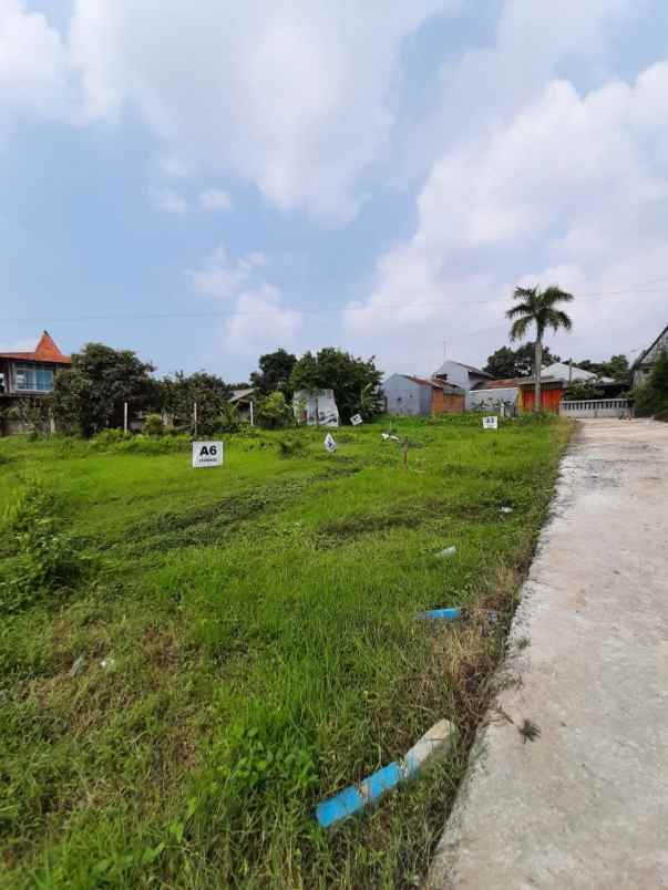 tanah kotabatu bogor