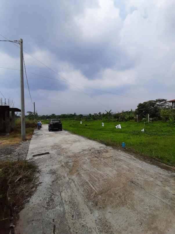 tanah kotabatu bogor