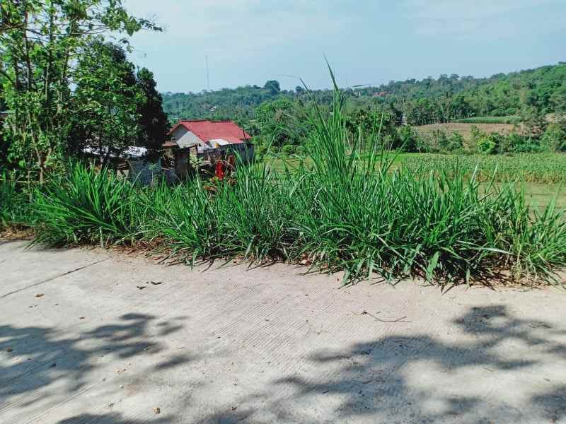 tanah matesih karanganyar