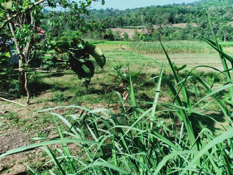 tanah matesih karanganyar
