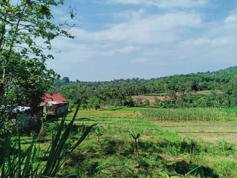 tanah matesih karanganyar