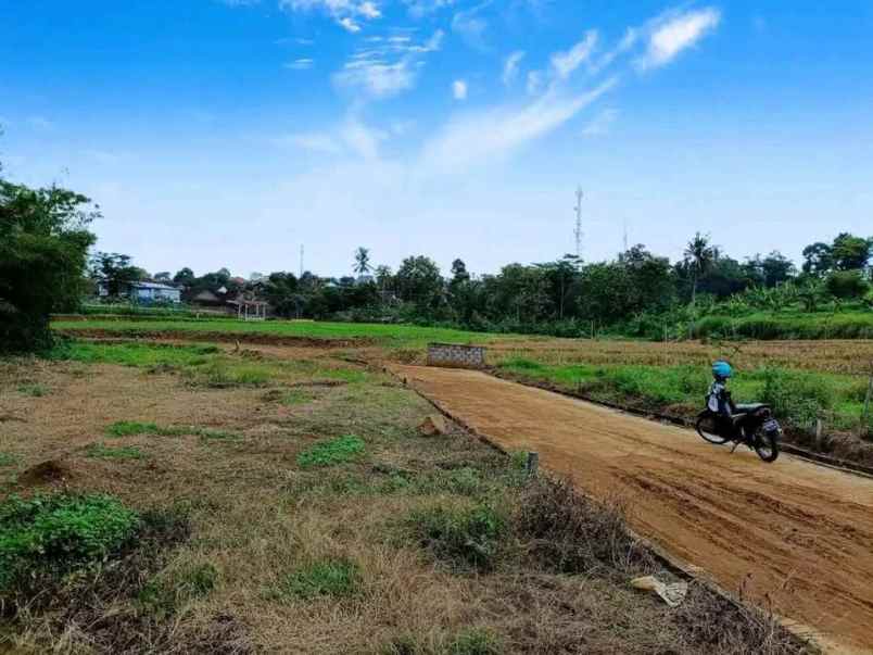 tanah murah view sawah deket terminal di gunungpati
