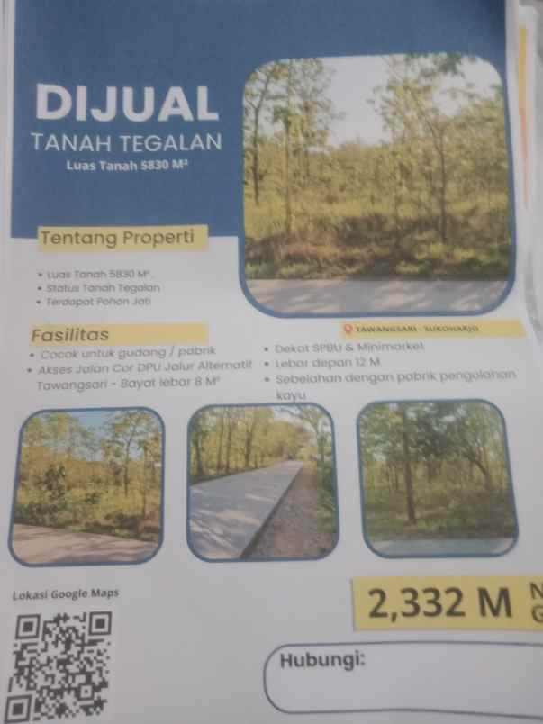 tanah pohon jati istimewa