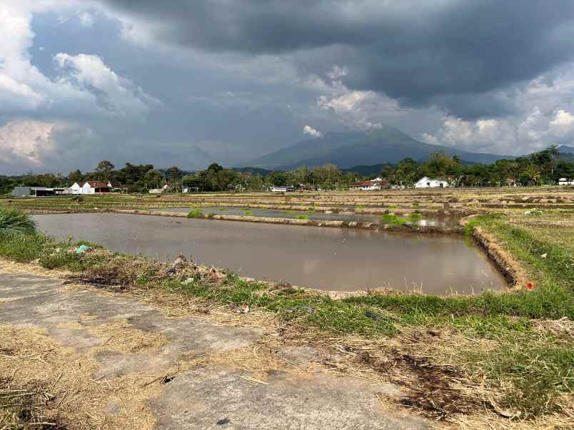 tanah sawah 3400m view gunung lawu matesih
