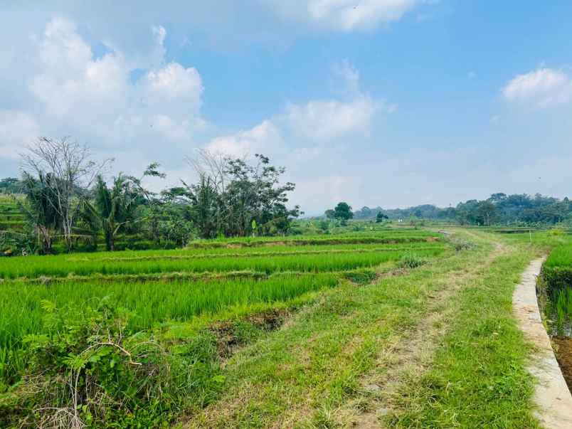 tanah subur 1050m irigasi mudah karanganyar