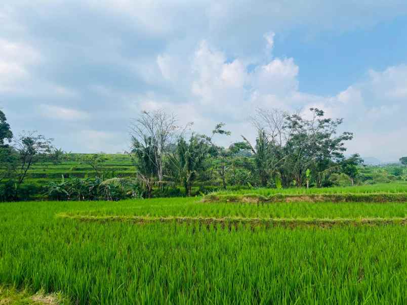 tanah subur 1050m irigasi mudah karanganyar