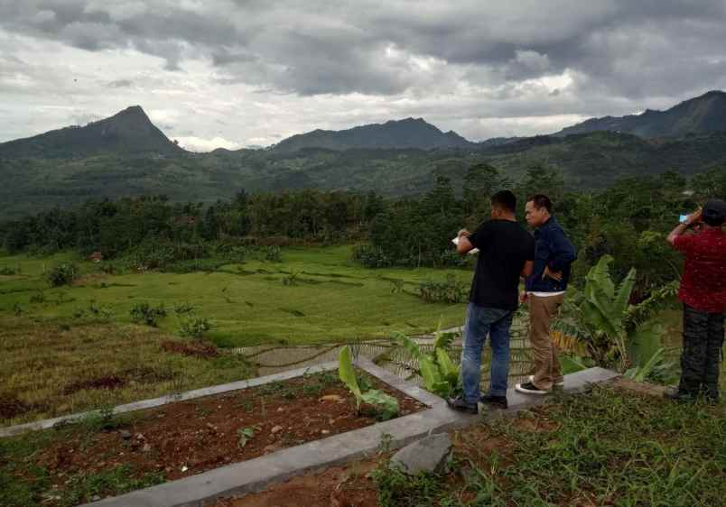 tanah sukamakmur kabupaten bogor
