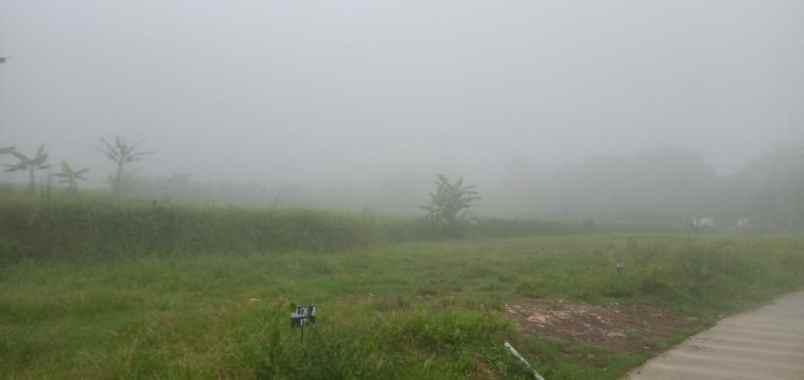 tanah sukamakmur kabupaten bogor