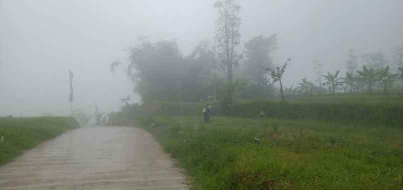 tanah sukamakmur kabupaten bogor