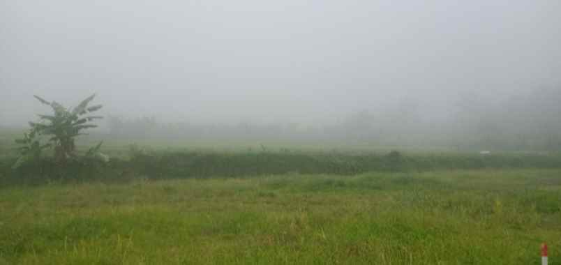 tanah sukamakmur kabupaten bogor