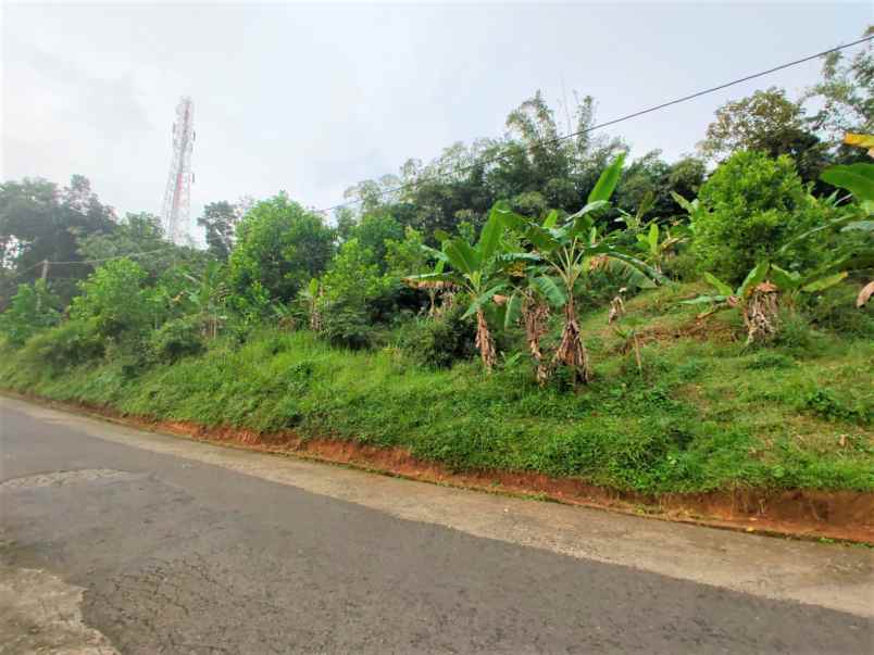 tanah tepi jl raya kerjo