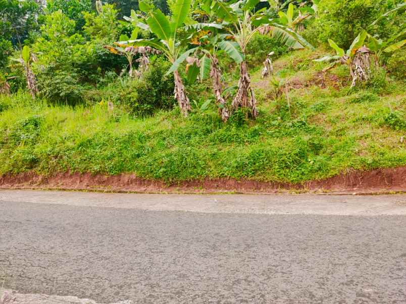 tanah tepi jl raya kerjo