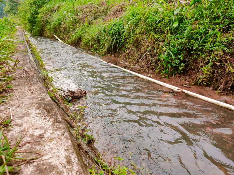 tanah tepi jl raya kerjo