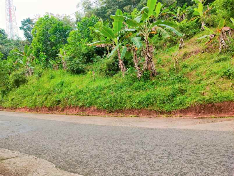 tanah tepi jl raya kerjo