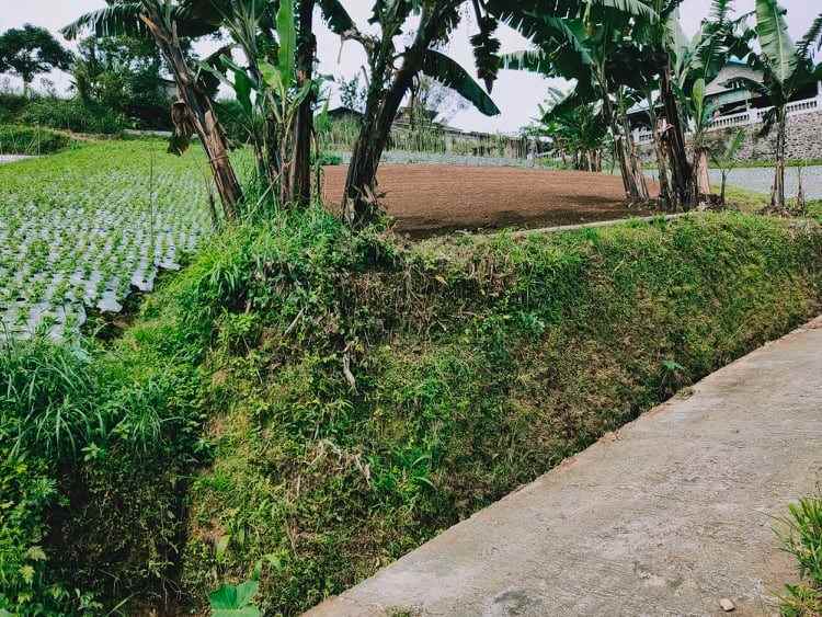 tanah timur bali ndeso kemuning