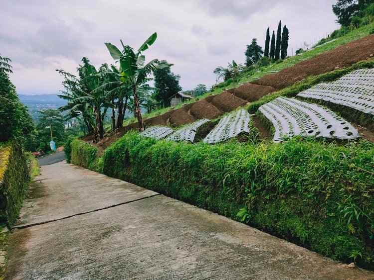 tanah timur bali ndeso kemuning