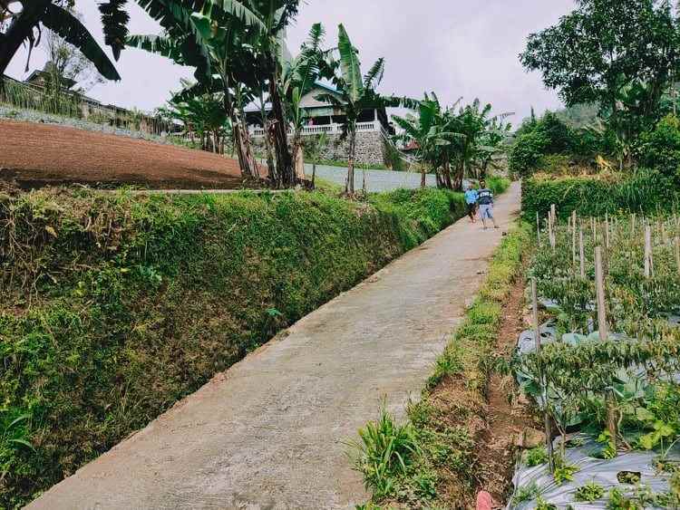 tanah timur bali ndeso kemuning