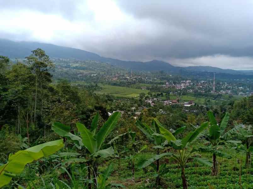 tanah utara pasar kemuning