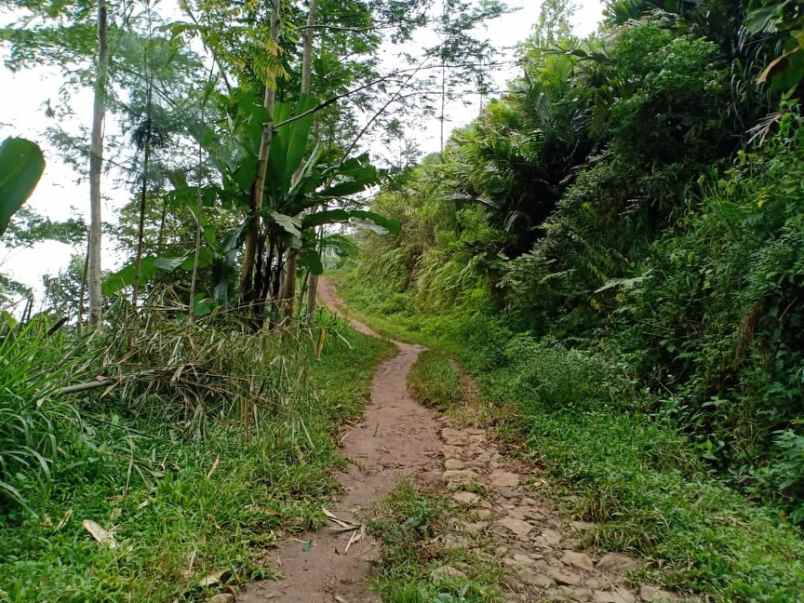 tanah utara pasar kemuning