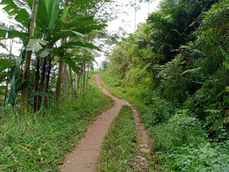 tanah utara pasar kemuning