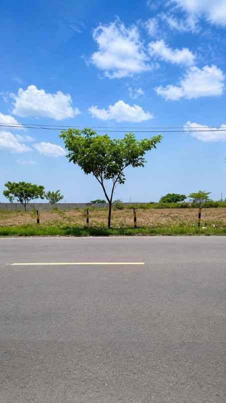 tanah widang tuban jawa timur strategis zona industri