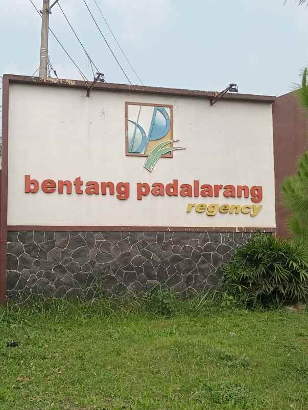 di sewakan rumah minimalis