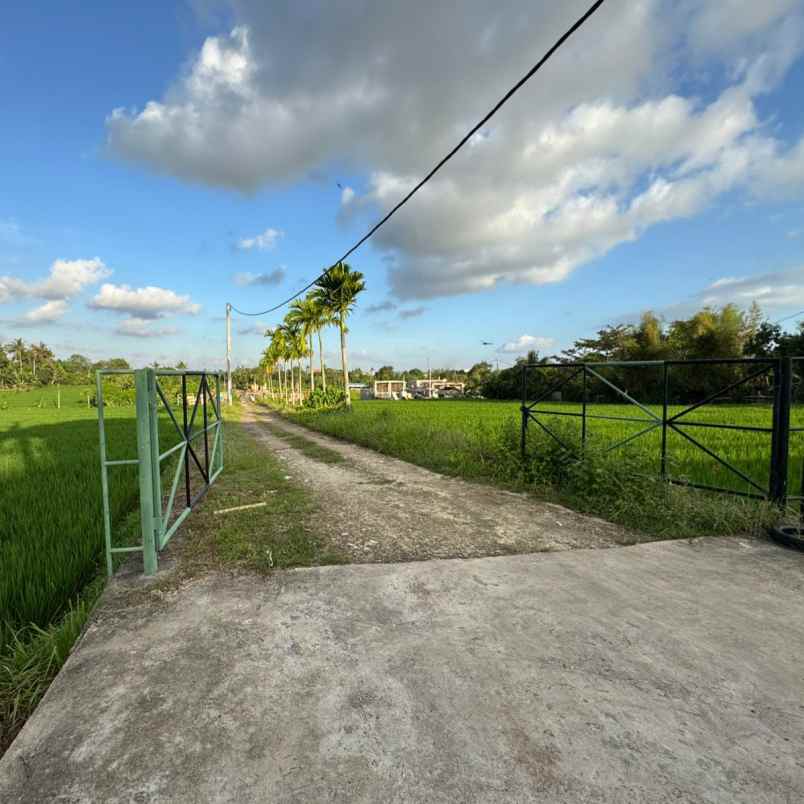 dijual 5 8 are jl pantai nyanyi beraban kediri tabanan