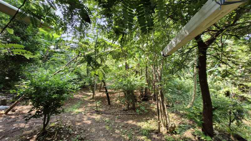 dijual cepat rumah pribadi