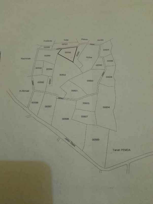 dijual kebun murah di jasinga bogor