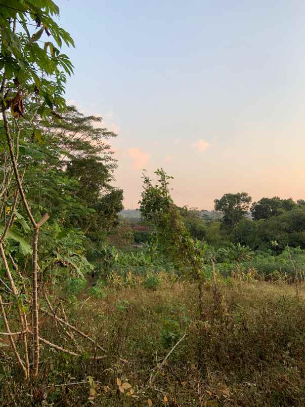 dijual lahan dekat kopi blirik mijen semarang