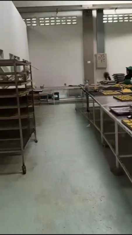 dijual pabrik mie aktif di bantul yogyakarta