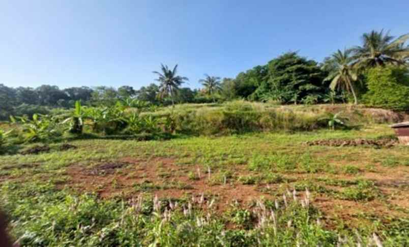 dijual ruko gudang kantor lebak gede kec pulomerak