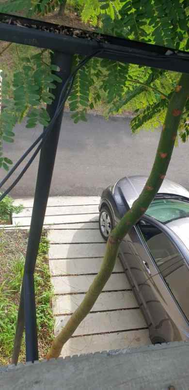 dijual rumah bumi panyileukan kota bandung