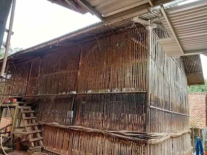 dijual rumah dan kandang ayam murah