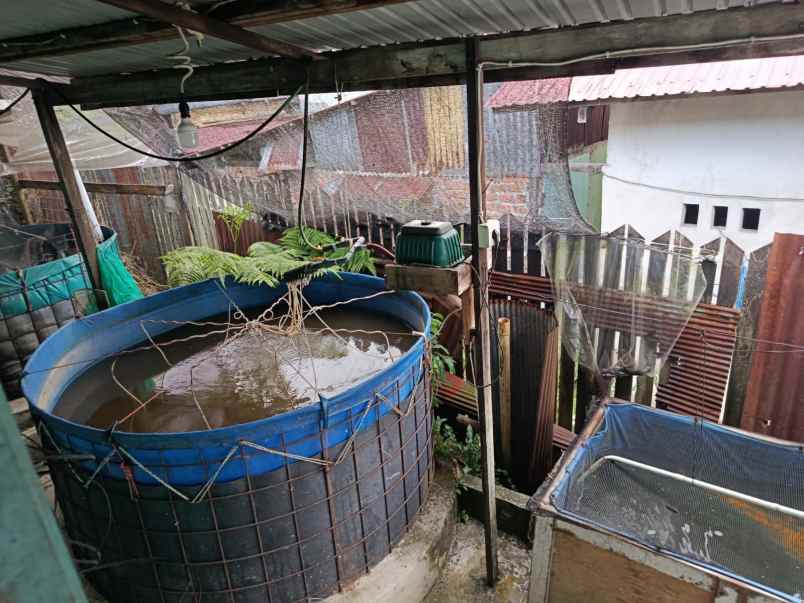 dijual rumah dijual rumah di jl askit