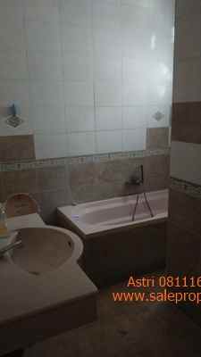 dijual rumah jalan wortel griya loka bsd