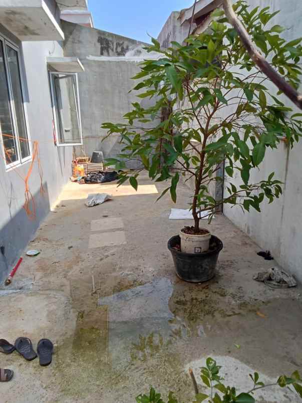 dijual rumah jl pertanian pinggir jalan harga 530 juta