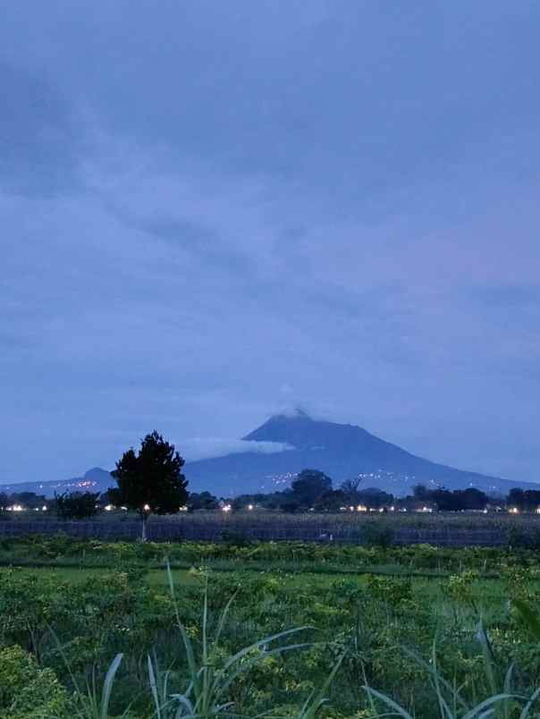 dijual rumah kebondalem lor prambanan