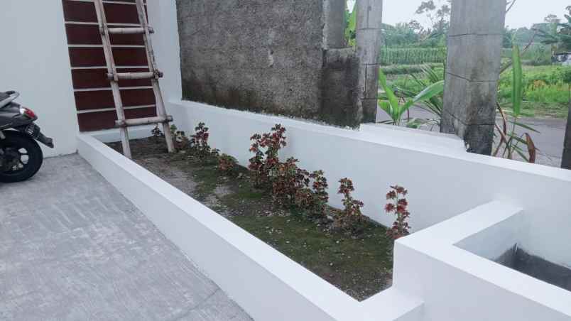 dijual rumah manisrenggo