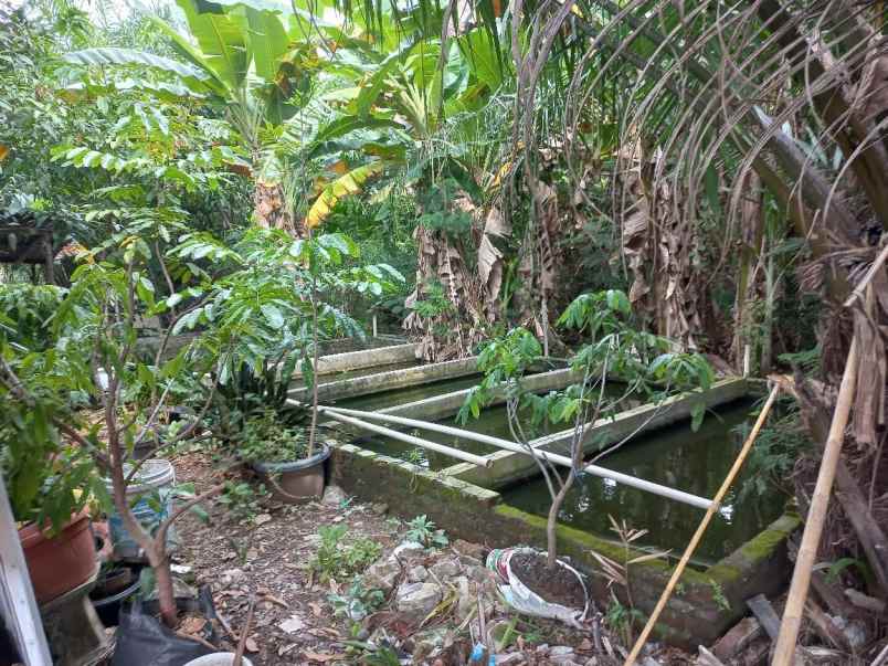 dijual rumah medokan