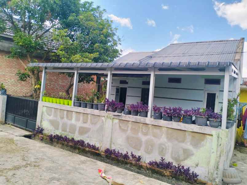 dijual rumah murah jl muhajirin arengka hanya 185 juta