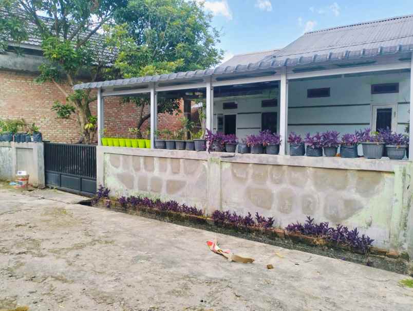 dijual rumah murah jl muhajirin arengka hanya 185 juta